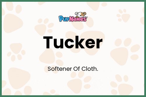 Tucker dog name meaning