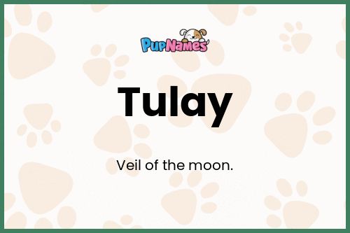 Tulay dog name meaning