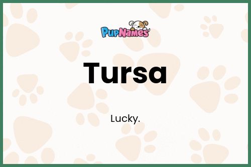 Tursa dog name meaning