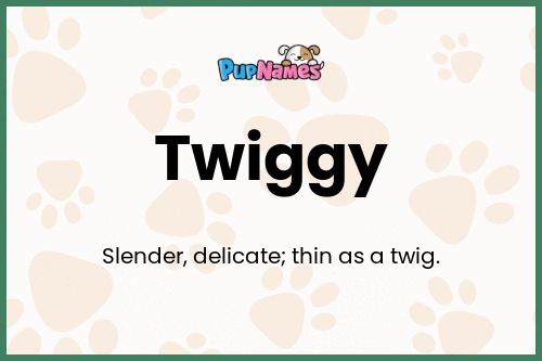 Twiggy dog name meaning