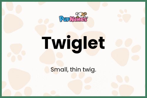 Twiglet dog name meaning