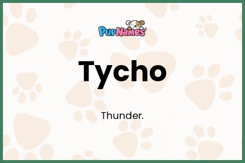 Tycho dog name meaning