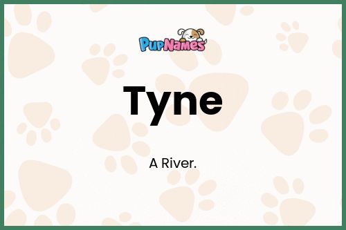 Tyne dog name meaning