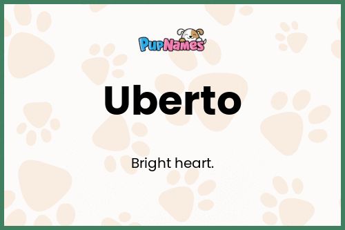 Uberto dog name meaning