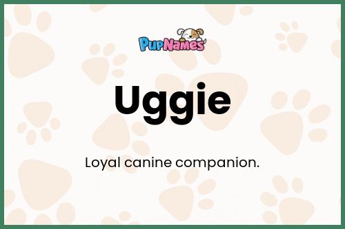 Uggie dog name meaning