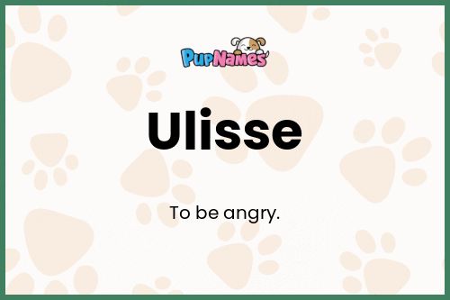 Ulisse dog name meaning