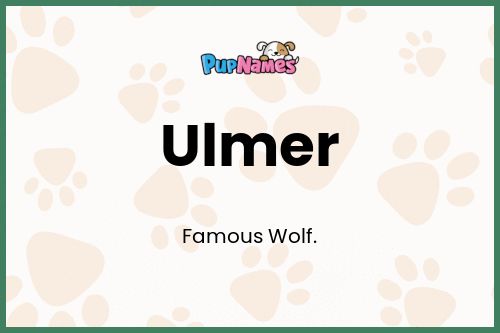 Ulmer dog name meaning