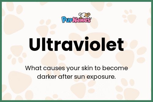 Ultraviolet dog name meaning