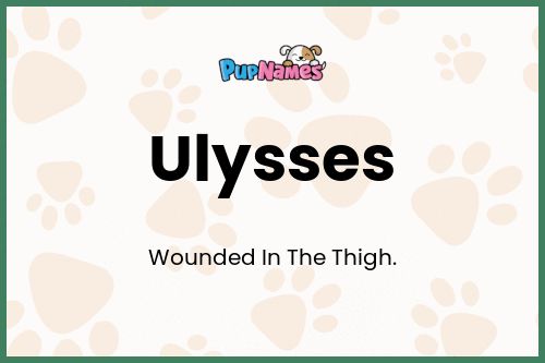 Ulysses dog name meaning