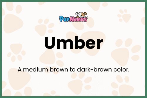 Umber dog name meaning