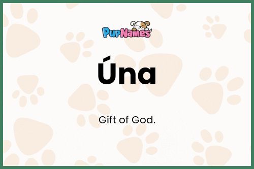 Úna dog name meaning