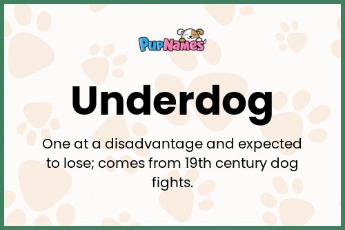 Underdog dog name meaning