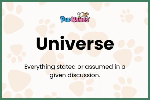 Universe dog name meaning