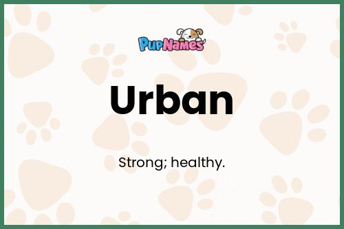 Urban dog name meaning