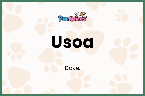 Usoa dog name meaning