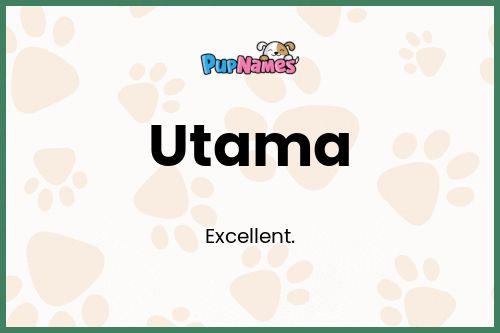 Utama dog name meaning
