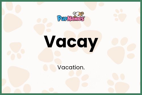 Vacay dog name meaning