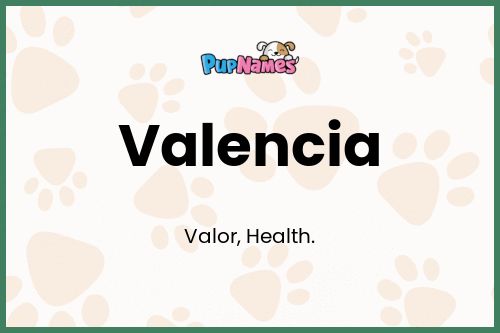 Valencia dog name meaning