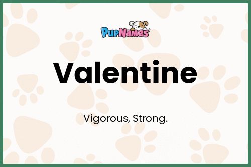 Valentine dog name meaning