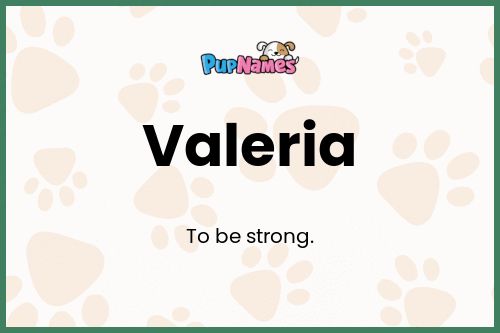 Valeria dog name meaning