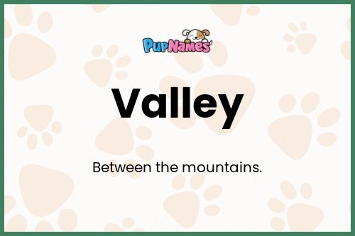 Valley dog name meaning