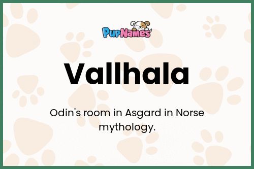 Vallhala dog name meaning