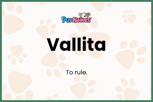 Vallita dog name meaning