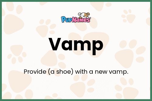 Vamp dog name meaning