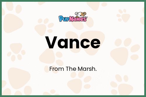 Vance dog name meaning