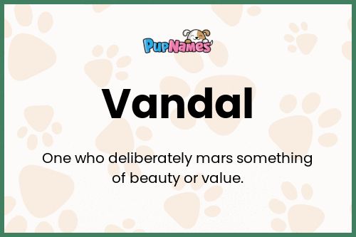 Vandal dog name meaning