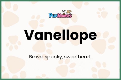 Vanellope dog name meaning