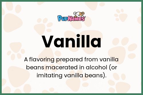 Vanilla dog name meaning