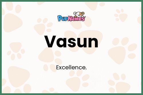 Vasun dog name meaning