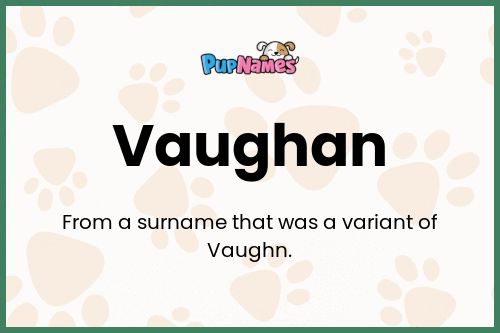 Vaughan dog name meaning