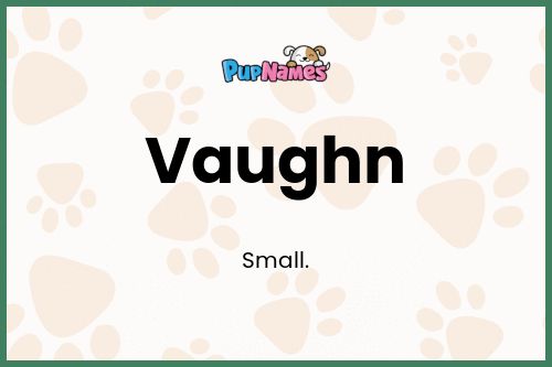 Vaughn dog name meaning