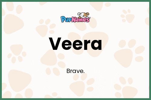 Veera dog name meaning