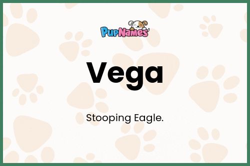 Vega dog name meaning