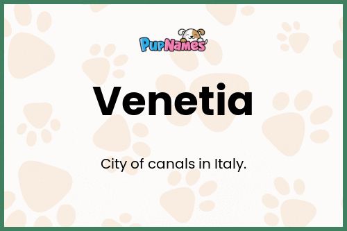 Venetia dog name meaning