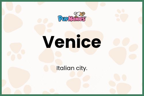 Venice dog name meaning