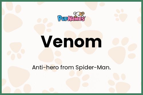 Venom dog name meaning