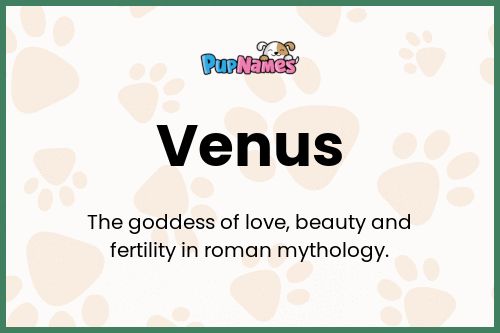 Venus dog name meaning