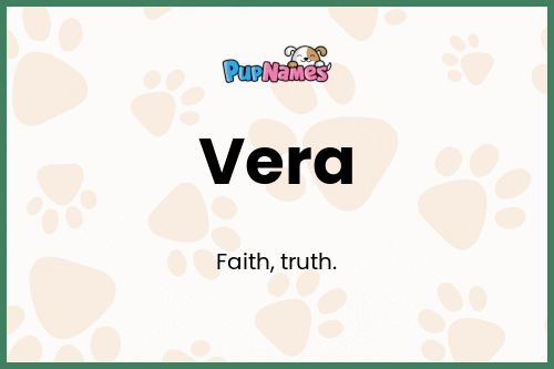 Vera dog name meaning