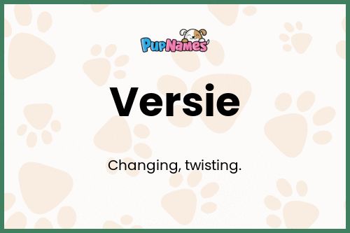 Versie dog name meaning