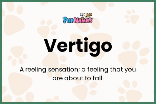 Vertigo dog name meaning