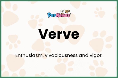 Verve dog name meaning