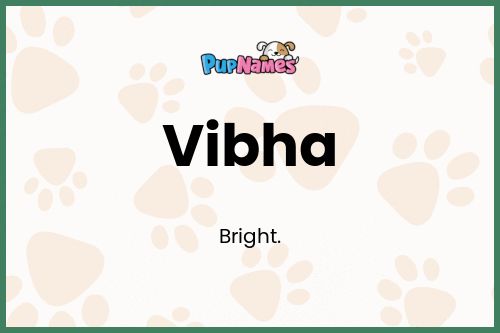 Vibha dog name meaning