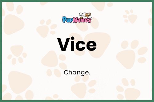 Vice dog name meaning