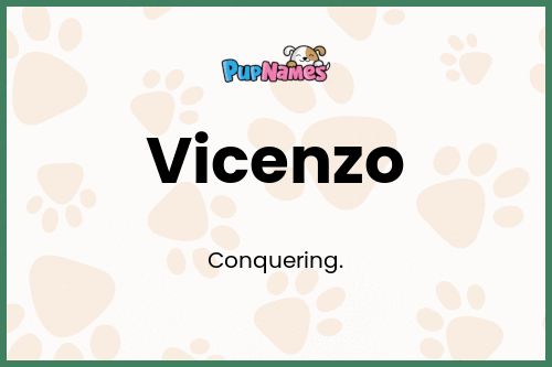 Vicenzo dog name meaning