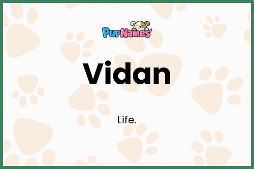 Vidan dog name meaning