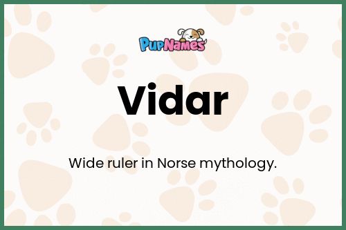 Vidar dog name meaning